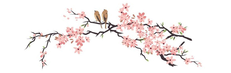 https://blogbytania.files.wordpress.com/2015/07/tumblr_static_japanese-cherry-blossomssssss1.jpg?w=792